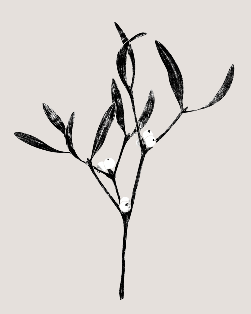 Farina-Kuklinski-Slowflower-Mistel