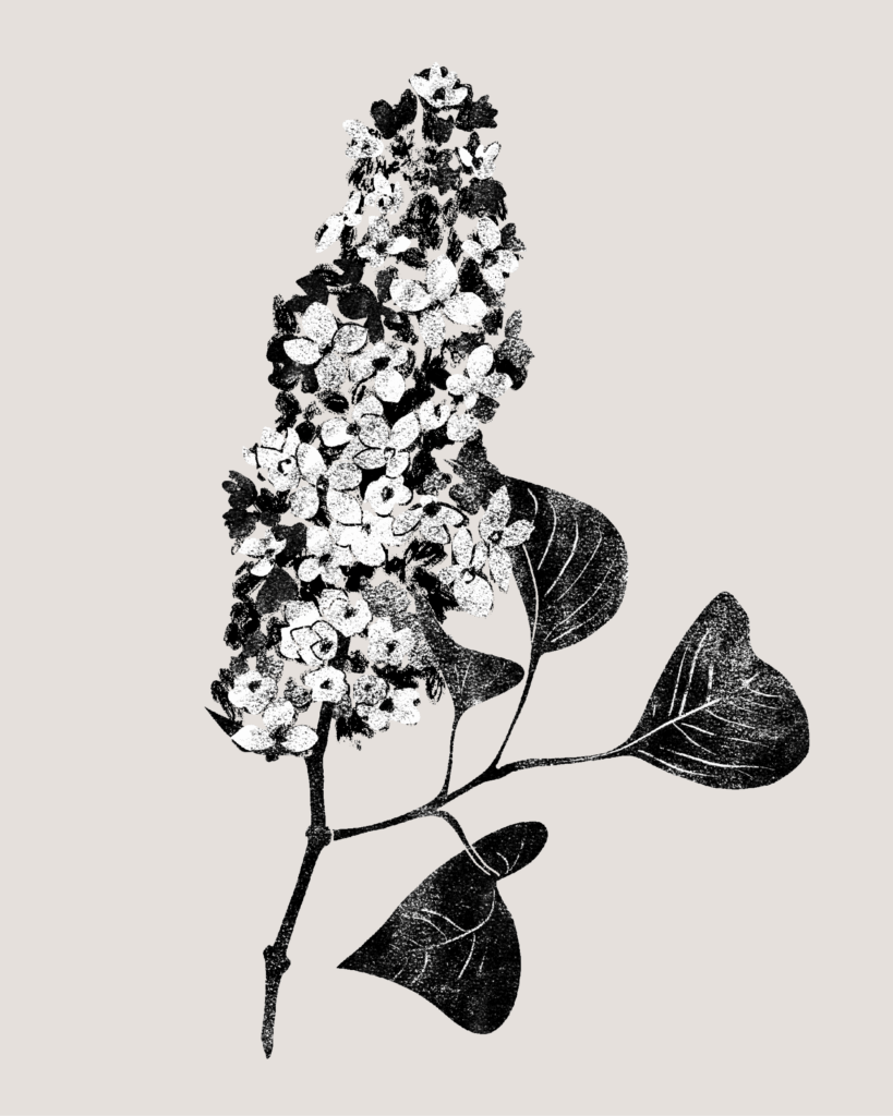 Farina-Kuklinski-Slowflower